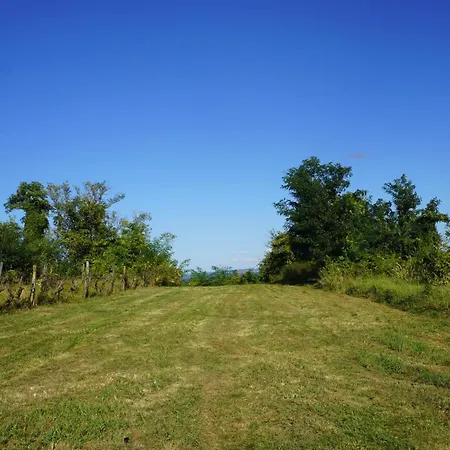 Ferienhaus Kleine Weinberghäuschen In - Jägerpince *