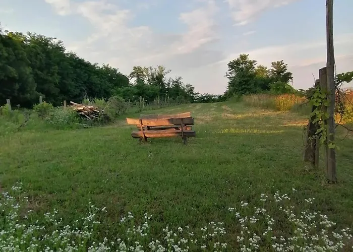 Kleine Weinberghaeuschen In - Jaegerpince Сasa de vacaciones *